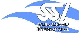 SSI logo